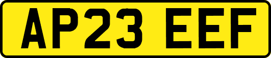 AP23EEF
