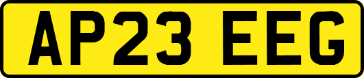 AP23EEG