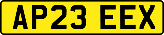 AP23EEX