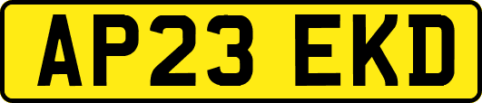 AP23EKD
