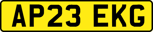 AP23EKG
