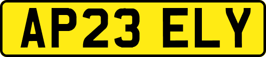 AP23ELY