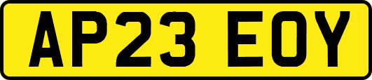 AP23EOY