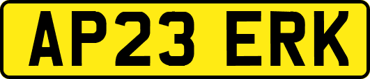 AP23ERK