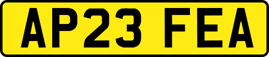 AP23FEA