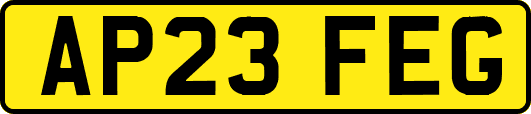 AP23FEG