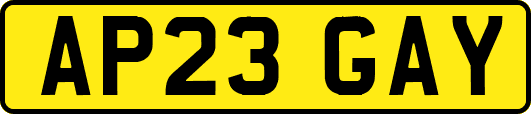AP23GAY