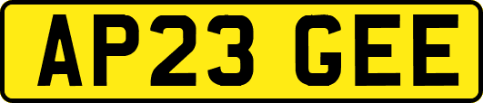 AP23GEE