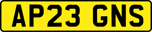 AP23GNS