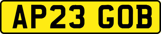 AP23GOB