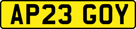 AP23GOY
