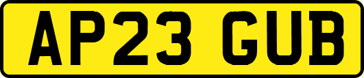 AP23GUB
