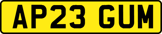 AP23GUM