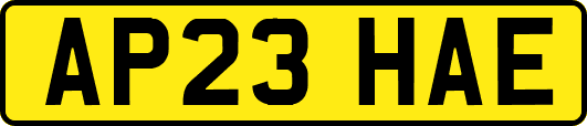 AP23HAE