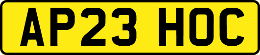 AP23HOC