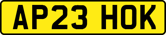 AP23HOK