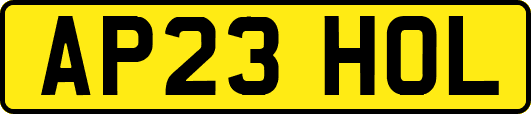 AP23HOL