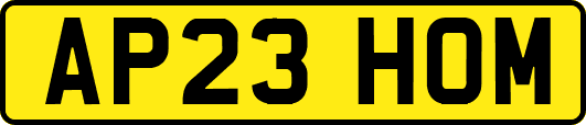 AP23HOM