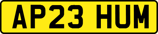 AP23HUM