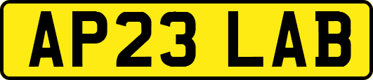 AP23LAB