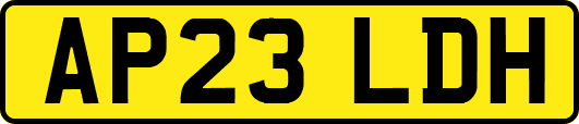AP23LDH