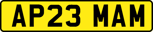 AP23MAM
