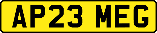 AP23MEG