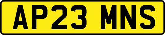 AP23MNS