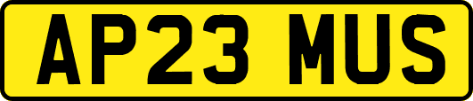 AP23MUS
