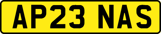 AP23NAS