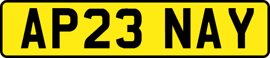 AP23NAY