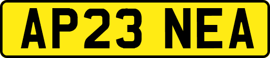AP23NEA
