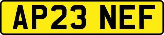 AP23NEF