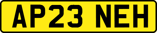 AP23NEH