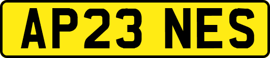 AP23NES