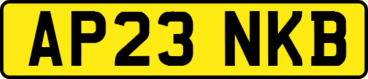 AP23NKB