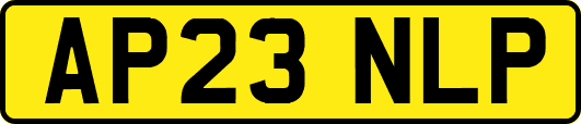 AP23NLP