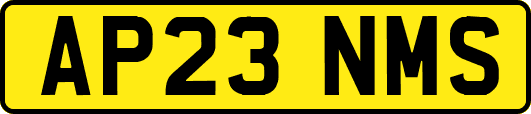 AP23NMS