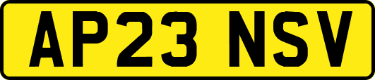 AP23NSV