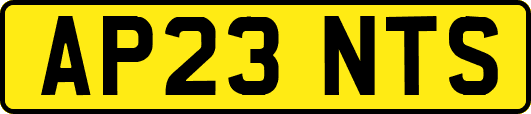 AP23NTS