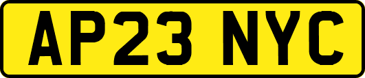 AP23NYC