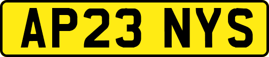 AP23NYS
