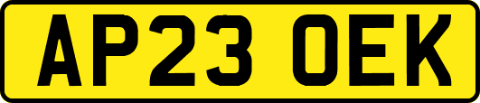 AP23OEK