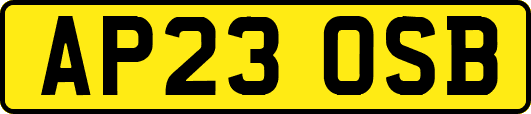 AP23OSB
