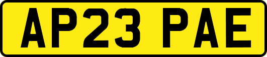 AP23PAE