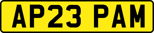 AP23PAM
