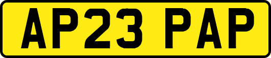 AP23PAP