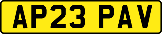 AP23PAV