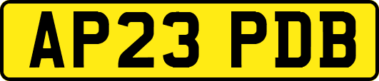 AP23PDB