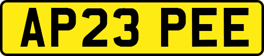 AP23PEE